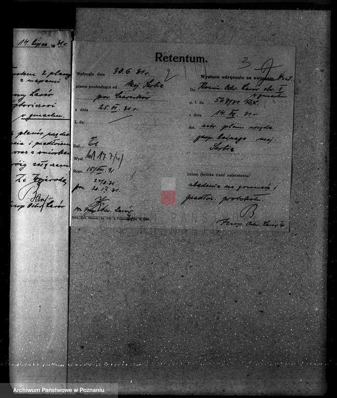 Obraz 8 z jednostki "Majętność leśna w Sarbii w powiecie czarnkowskim"