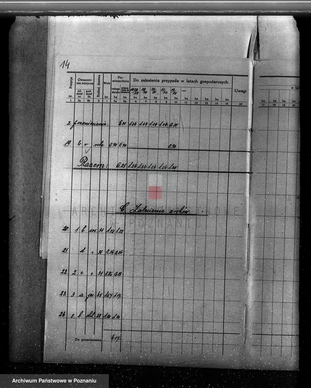 Obraz 18 z jednostki "Plan urządzania gospodarstwa leśnego dla lasu majętności Gorzyczki powiat kościański"