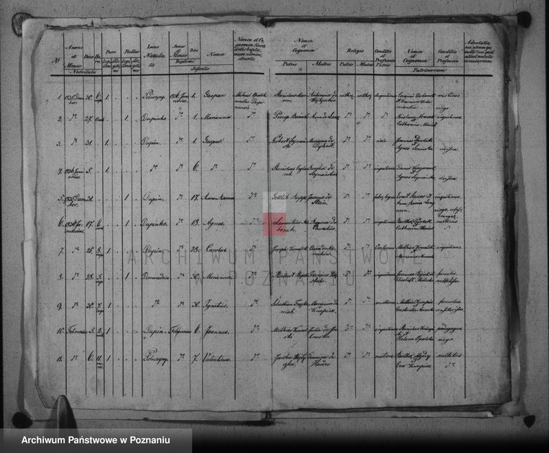 image.from.unit.number "Duplikat baptisatorum, copulatorum, mortuorum"