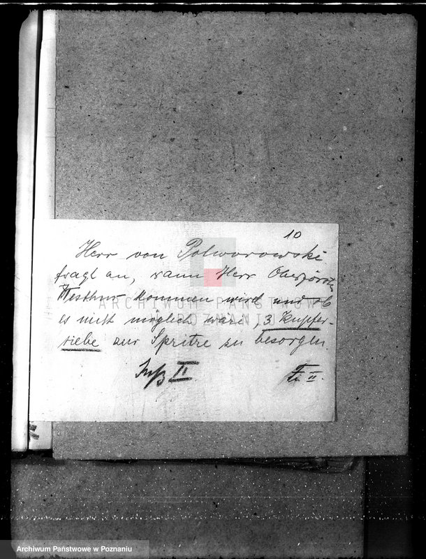 Obraz 13 z jednostki "Majętność leśna Gola w powiecie gostyńskim"