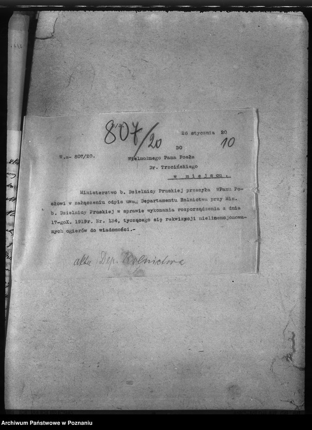 Obraz 14 z jednostki "Rekwizycje koni"