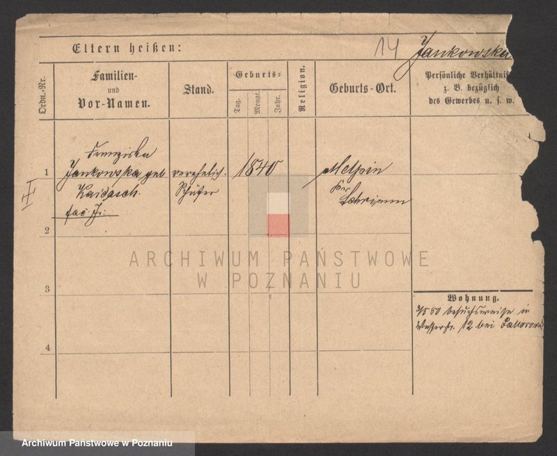 Obraz 14 z jednostki "Jankowski (wdowy i samotni mężczyźni)"