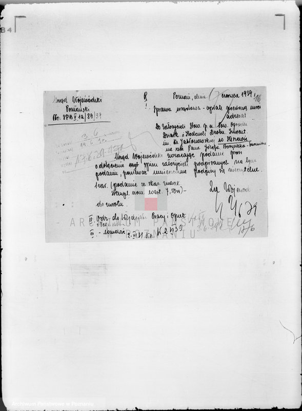 Obraz 20 z jednostki "/Towarzystwo Ogrodu Działkowego i Hodowli Drobnego Inwentarza im. Hetmana Czarnieckiego w Swarzędzu/"