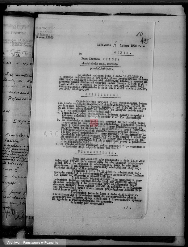 Obraz 20 z jednostki "Wyłączenie obszarów leśnych majątku Morawin powiat kaliski"