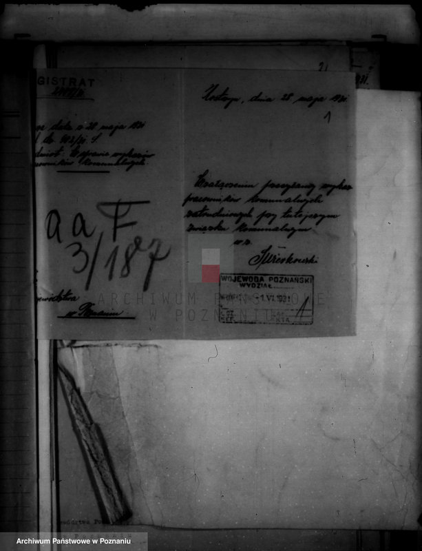 Obraz 16 z jednostki "Urzędnicy Komunalni miasta Kostrzyna"