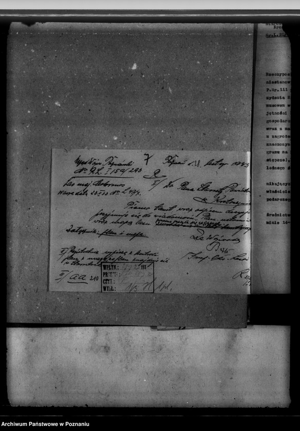 Obraz 11 z jednostki "Nadzór nad gospodarką leśną majętności Mokronos powiat krotoszyński"