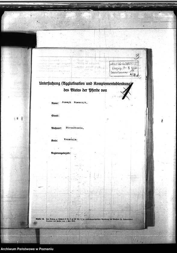 Obraz 7 z jednostki "Nosacizna - Września"