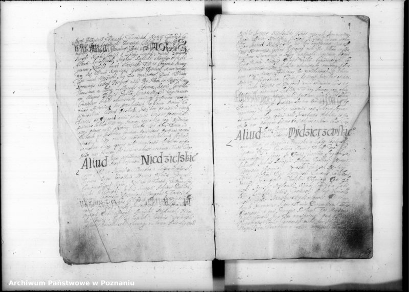 Obraz 8 z jednostki "Inscriptiones [inducta]"