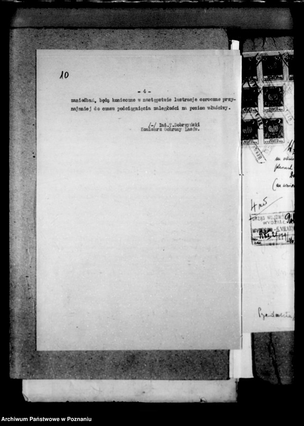 Obraz 14 z jednostki "Majętność leśna Zakrzewo powiat wągrowiecki"