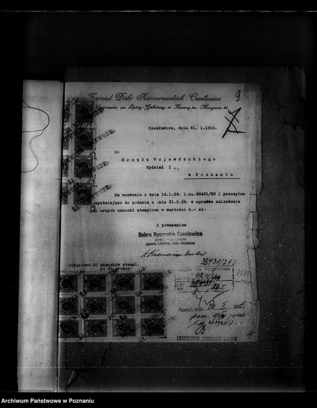 Obraz 14 z jednostki "Majętność leśna Czesławice powiat wągrowiecki własność Koerner"