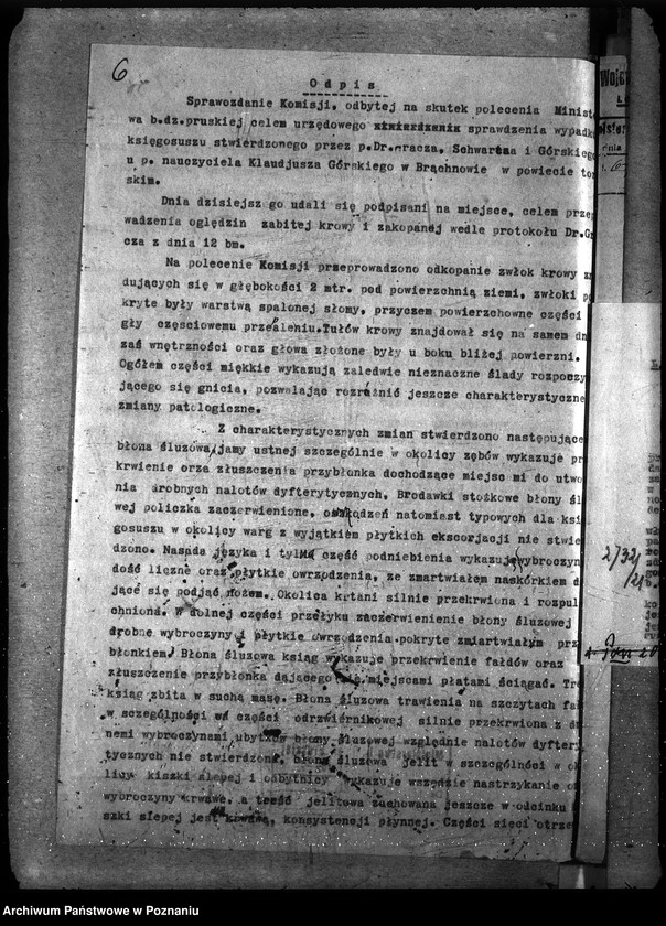 Obraz 11 z jednostki "Księgosusz - Toruń"