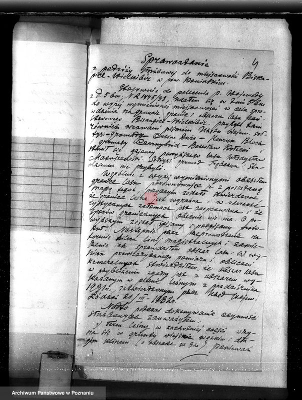 Obraz 8 z jednostki "Majętność Biskupiec powiat koniński /sprawa ustalenia granicy lasu/"