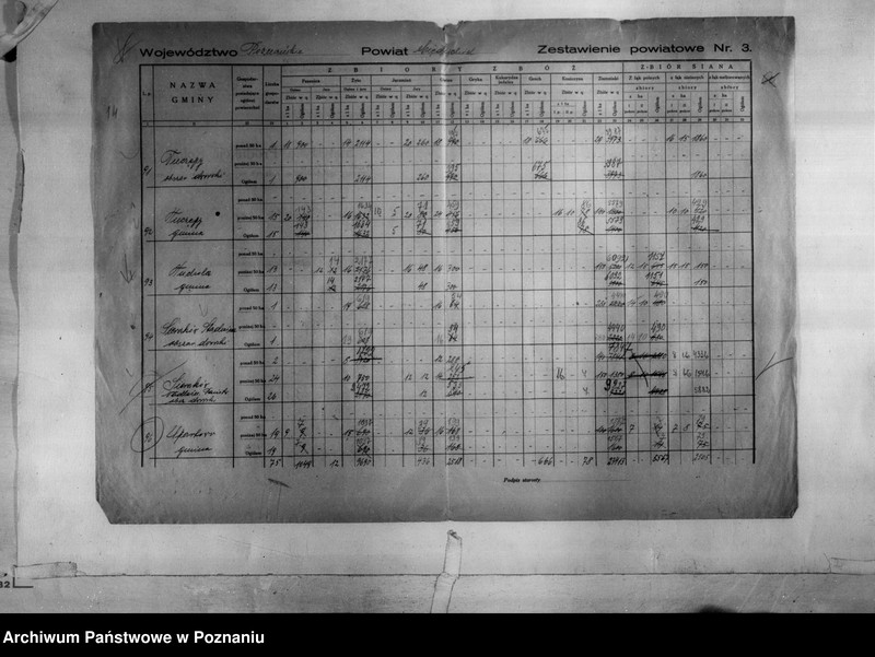 Obraz 16 z jednostki "/Statystyka produkcji rolnej - zestawienie powiatowe - Międzychód/"
