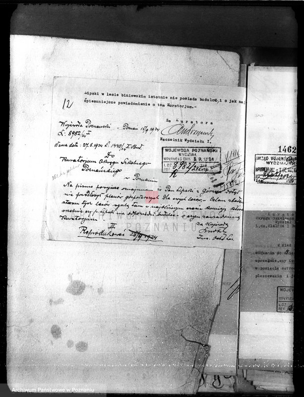 Obraz 16 z jednostki "Nadzór nad gospodarką w lasach majętności Gorzno-Biniew powiat ostrowski"