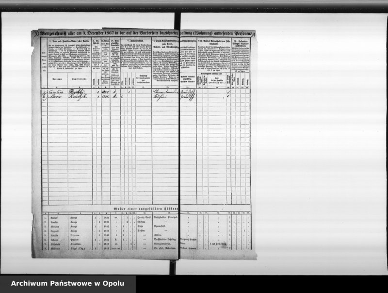 Obraz 20 z jednostki "Zählbezirk 9 [Spis ludności, 1867]"
