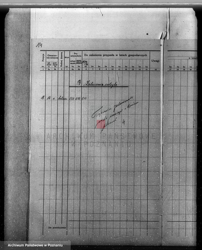 Obraz 20 z jednostki "Plan urządzenia gospodarstwa leśnego dla lasu majętności Lizie powiat nowotomyski"