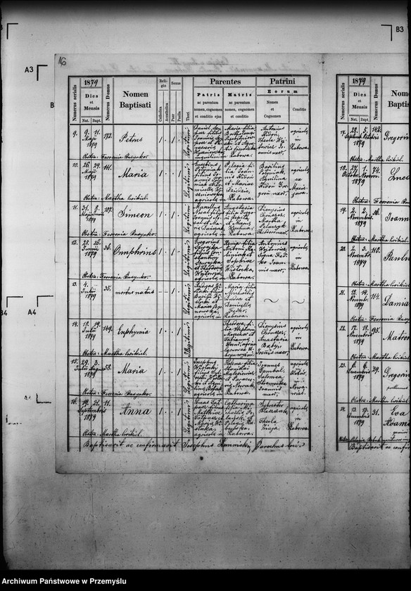 Obraz 20 z jednostki "[Kopie ksiąg metrykalnych parafii Łabowa z filiami Kotów, Łabowiec, Uhryń Niżny (dekanat Muszyna)]"