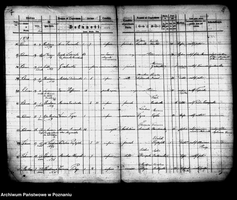 Obraz 5 z jednostki "Księga zgonów"