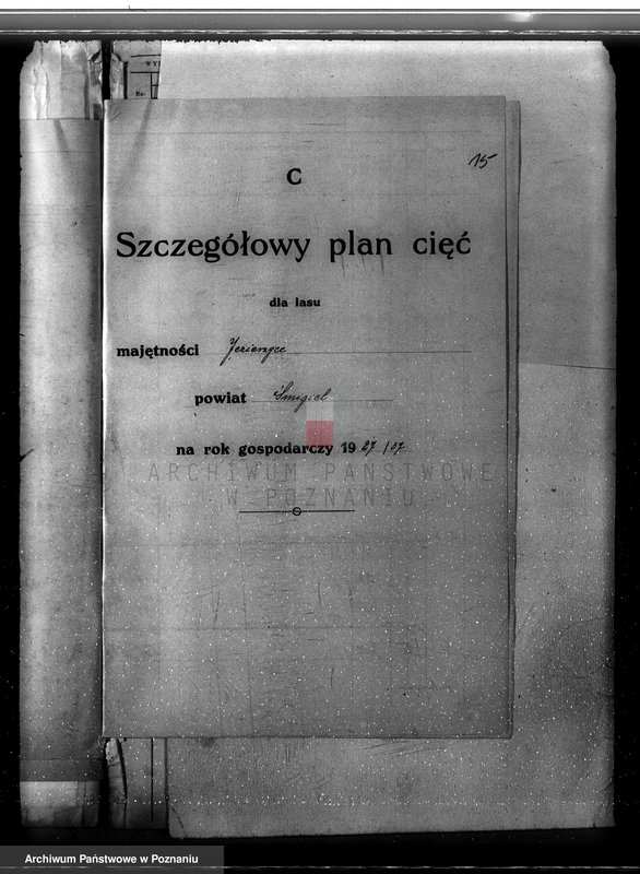 Obraz 19 z jednostki "Plan urządzania gospodarstwa leśnego dla lasu majętności Jezierzyce powiat kościański 1927-1938"