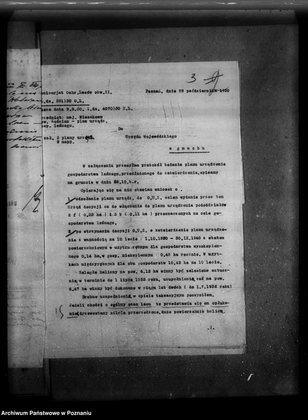 Obraz 8 z jednostki "Majętność /leśna/ Wieszkowo powiat kościański"