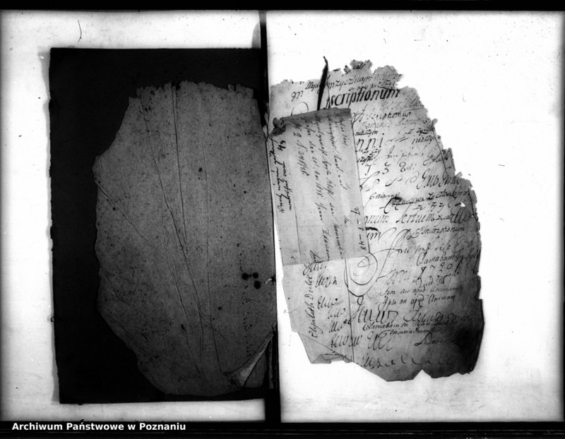 Obraz 3 z jednostki "Inscriptiones, resignationes [protocollon]"