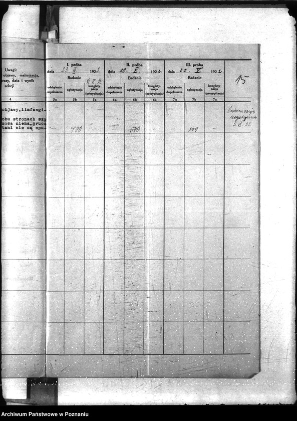 Obraz 20 z jednostki "Nosacizna - Grodzisk"