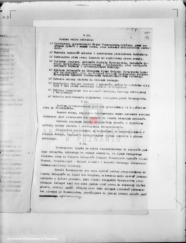 Obraz 19 z jednostki "/Towarzystwo Ogródków Działkowych im. T. Kościuszki w Szamotułach/"