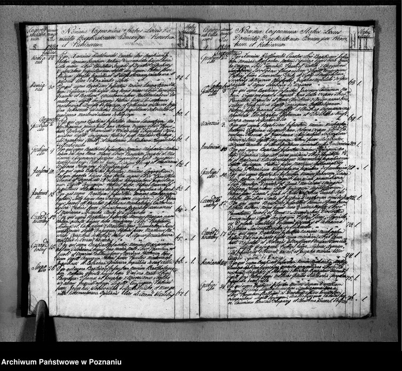 Obraz 8 z jednostki "Duplikat urodzonych, zaślubionych i zmarłych"