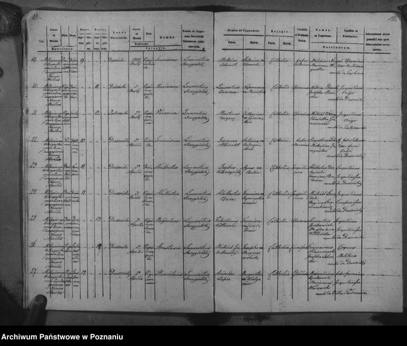 Obraz 13 z jednostki "Duplicat baptisatorum, copulatorum, mortuorum"
