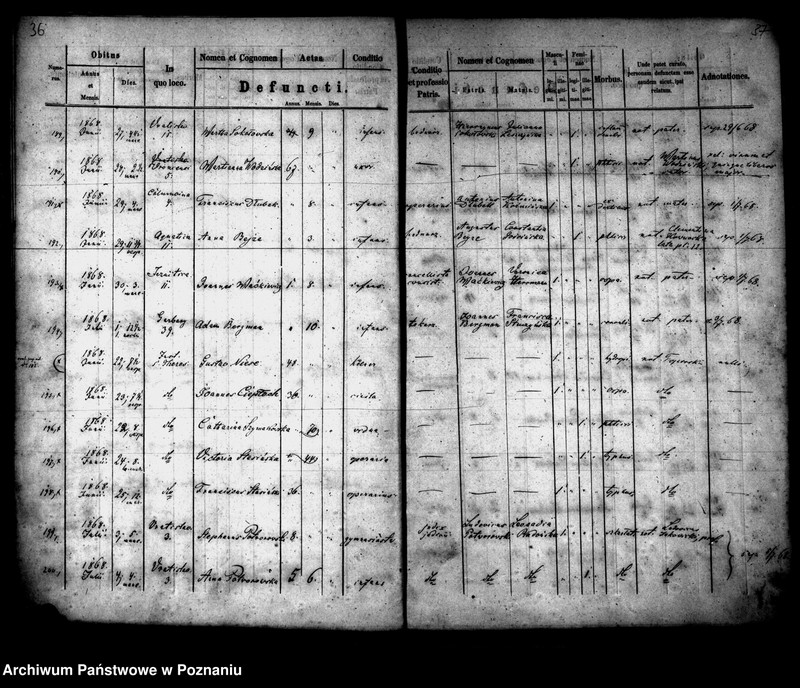 Obraz 20 z jednostki "Księga zgonów"