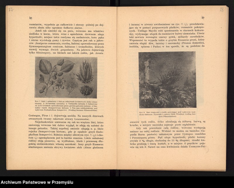 image.from.unit.number "V Sprawozdanie Dyrekcji Prywatnego Gimnazjum im. Juliusza Słowackiego w Czortkowie i Zarządu Towarzystwa Szkoły Średniej utrzymującego Gimnazjum za rok szkolny 1913/14"