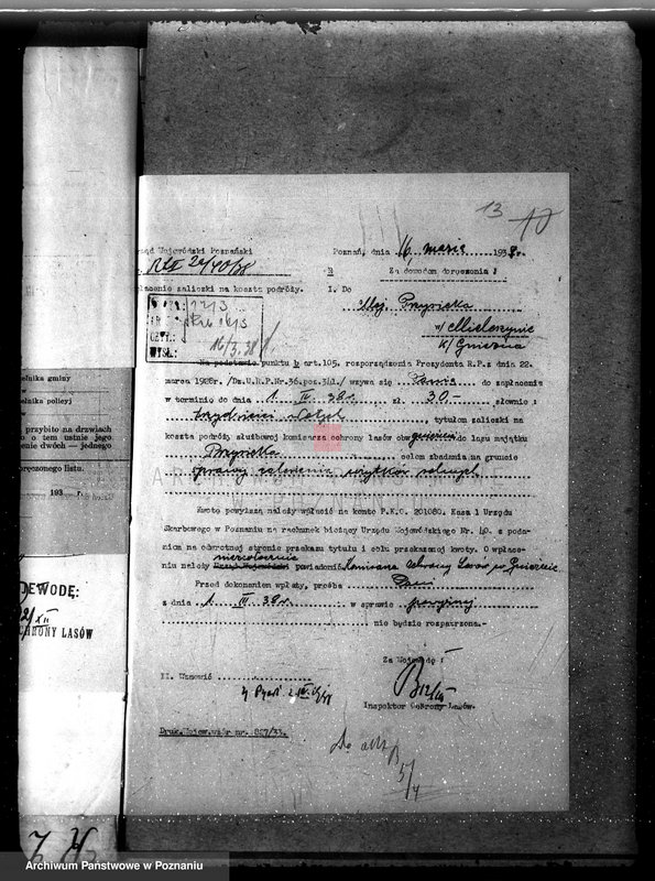 Obraz 17 z jednostki "Nadzór nad gospodarką w lasach majętności Przysieka powiecie gnieźnieńskim"