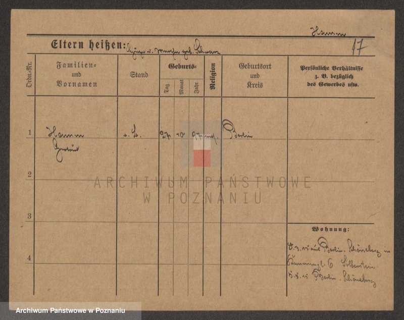 Obraz 17 z jednostki "Ham - Hamzykiewicz"