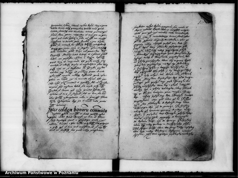 Obraz 14 z jednostki "Inscriptiones, relationes [inducta]"