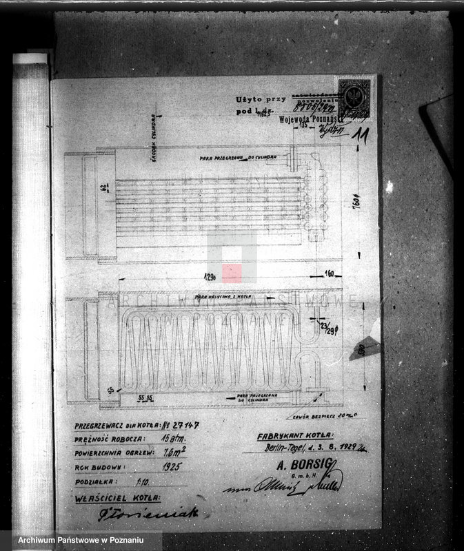 Obraz 15 z jednostki "Majętność Dąbcze B. Płócieniaka, pow. leszczyński nr woj. kotła 6379"