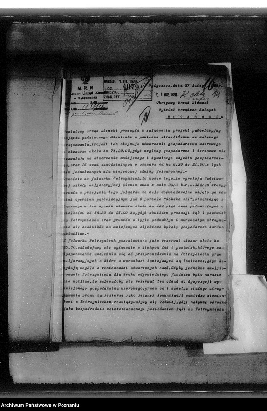 Obraz 17 z jednostki "Majątek Siemionki - parcelacja"