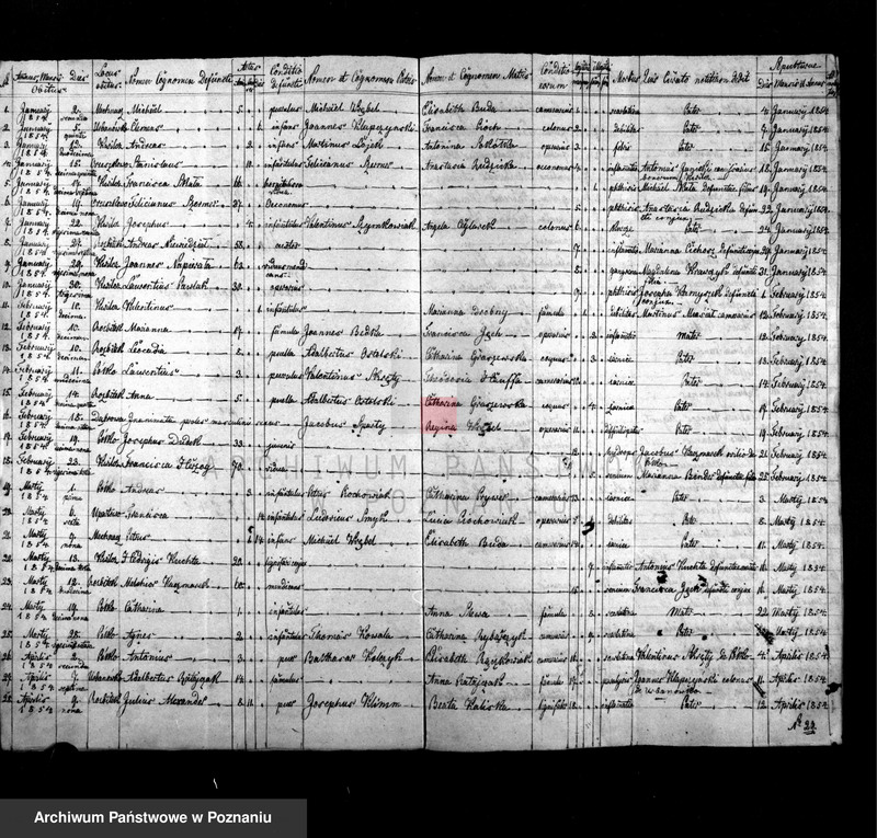Obraz 8 z jednostki "Liber baptisatorum, copulatorum et mortuorum"