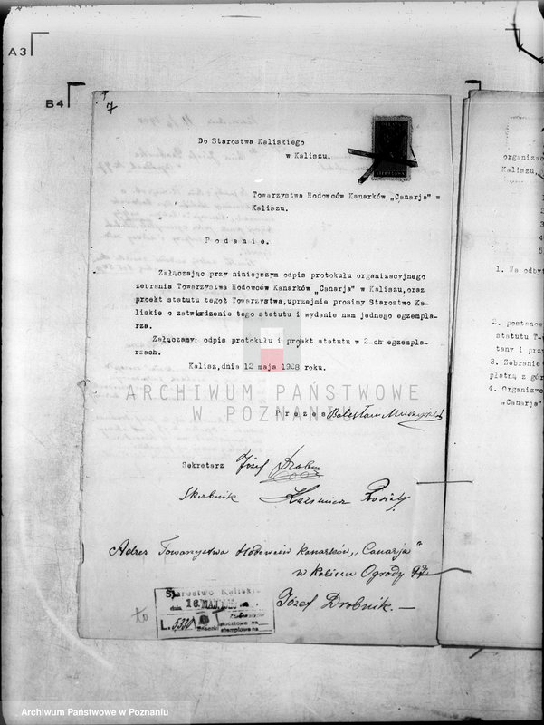 Obraz 12 z jednostki "/Towarzystwo Hodowców Kanarków,,Canaria" w Kaliszu/"