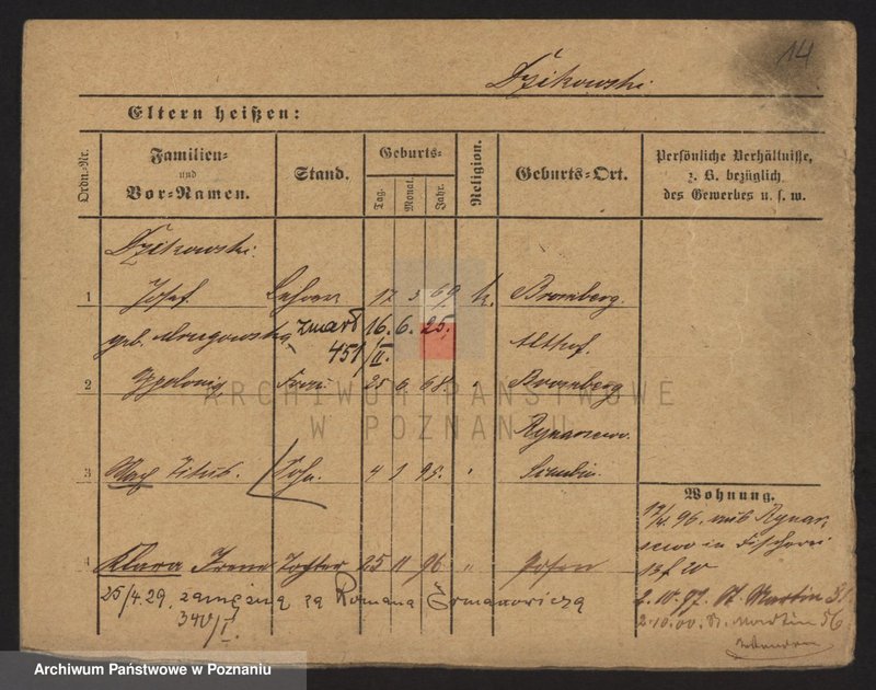 Obraz 16 z jednostki "Dzikowski - Dzyskowska"