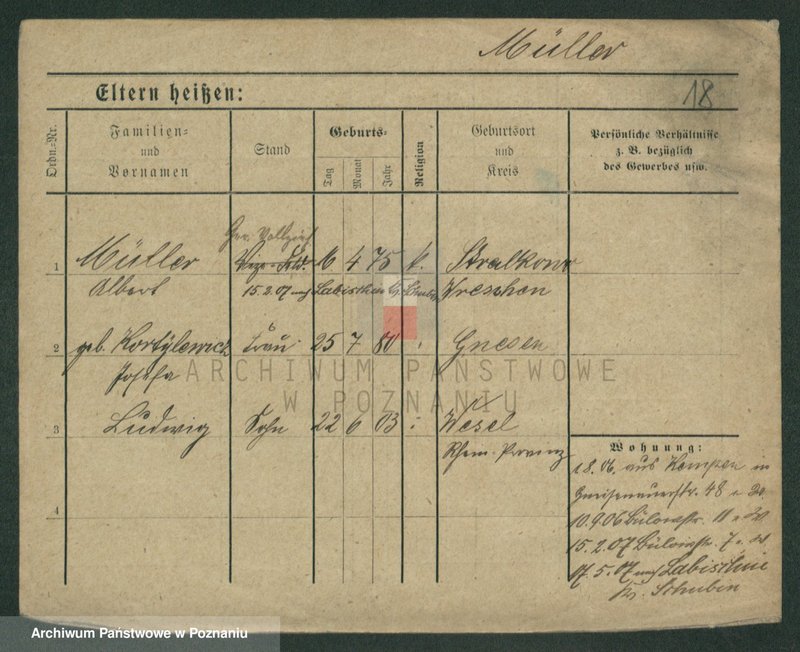 Obraz 20 z jednostki "Müller (żonaci i wdowy)"