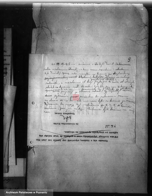 Obraz 13 z jednostki "Zalesienie nieużytków w powiecie mogileńskim"