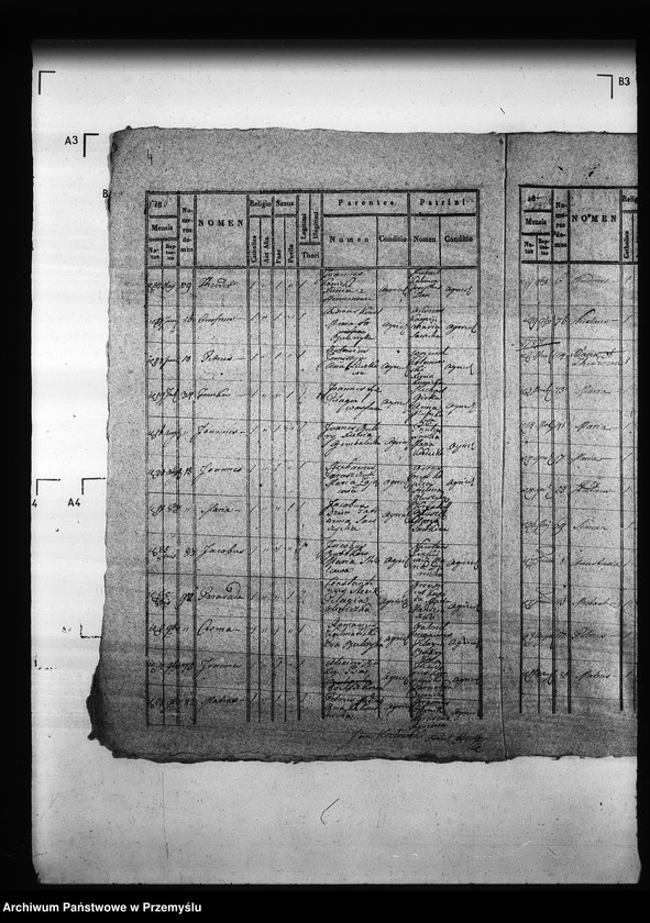 Obraz 8 z jednostki "[Kopie ksiąg metrykalnych parafii Hruszów z filiami Budomierz, Kłonice, Szczepłoty (dekanat Niemirów)]"