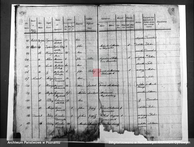 image.from.unit.number "Duplicatus baptisatorum, copulatorum, mortuorum"