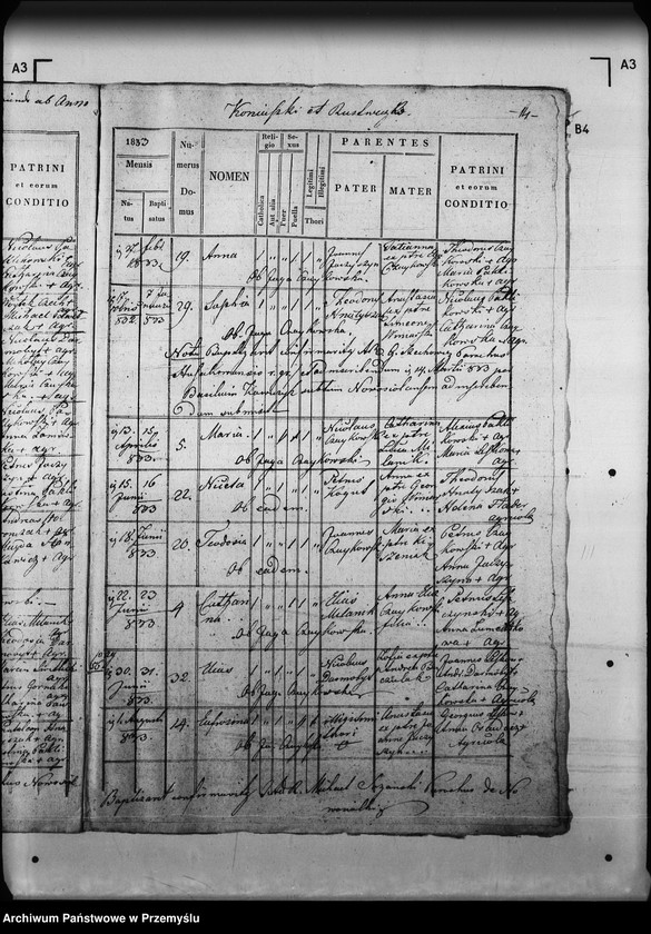 Obraz 19 z jednostki "[Kopie ksiąg metrykalnych parafii Myślatycze (dekanat Mościska)]"