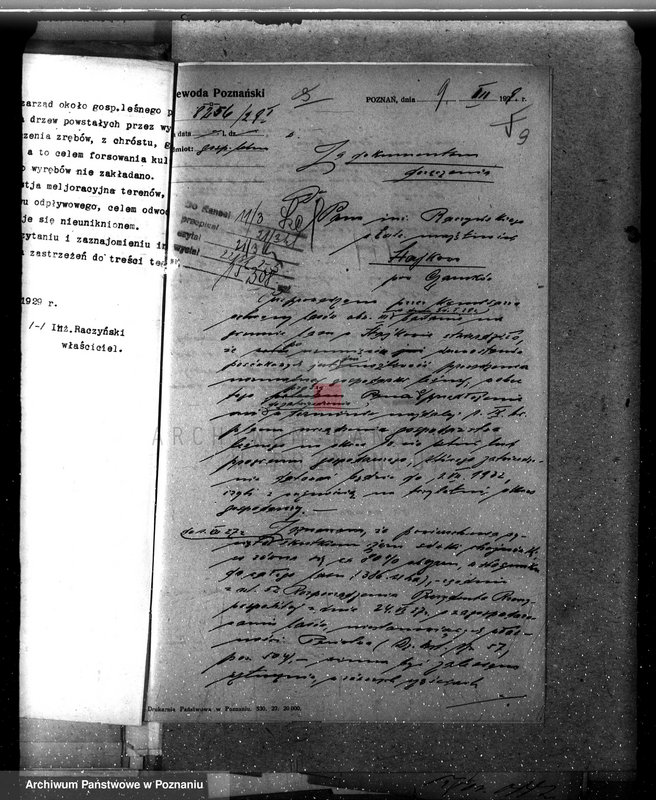 Obraz 15 z jednostki "Nadzór nad gospodarką leśną w lasach majętności Stajkowo powiecie czarnkowskim"