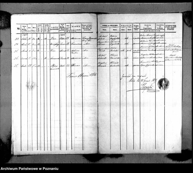 Obraz 6 z jednostki "Liber baptisatorum"