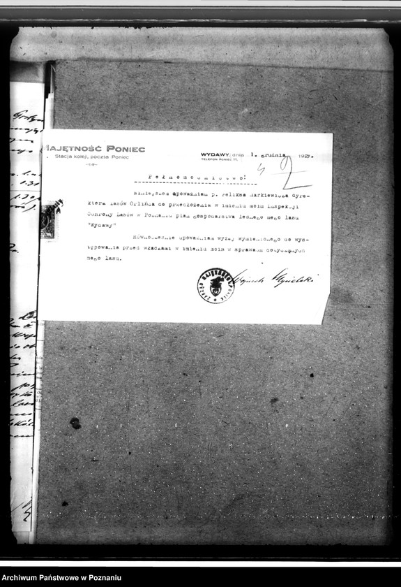 Obraz 8 z jednostki "Lasy majętności Wydawy w powiecie gostyńskim"