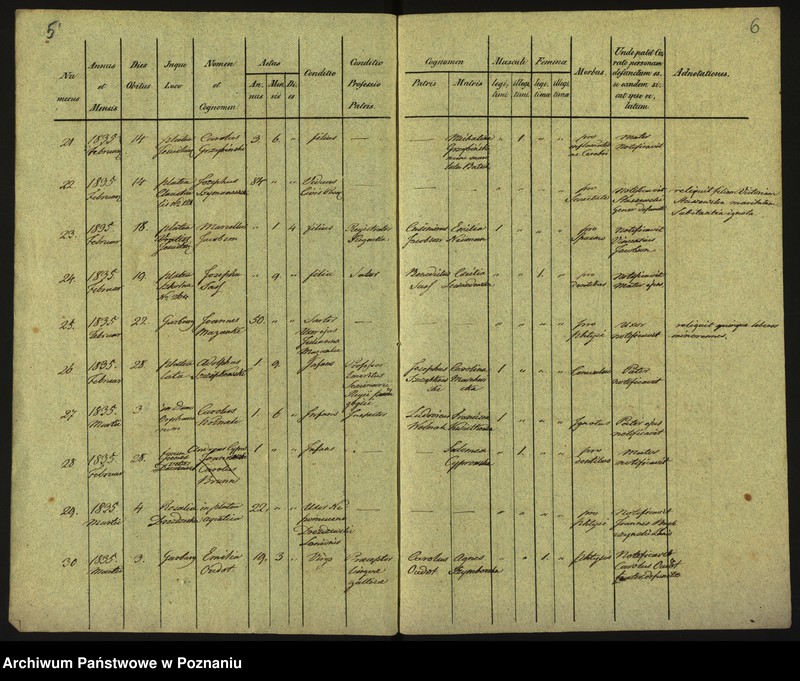 Obraz 6 z jednostki "Księga zgonów"