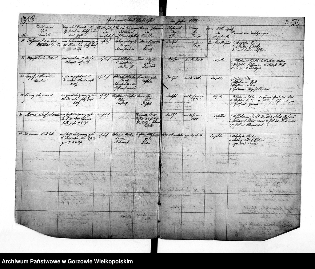 image.from.unit.number "Duplikate der Kirchenbücher von der Parochie Dechsel (Deszczno): Dechsel (Deszczno), Ober Alvensleben, Nieder Alvensleben (Krupczyn), Massow (Maszewo), Jakobsfelde (Miłomin), Berkenwerder (Brzozowiec), Borkow (Borek), Gross Zettritz, Klein Zettritz (Ciecierzyce), Christiansburg, Friedrichshorst, Karlsfelde, Bergenhorst, Bürgerwiesen (Osiedle Poznańskie), Landsberger Holländer"