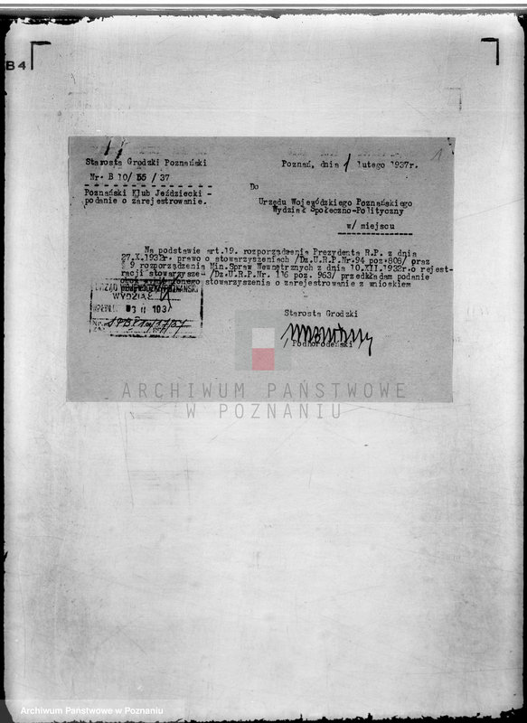 Obraz 5 z jednostki "/Poznański Klub Jeździecki w Poznaniu/"